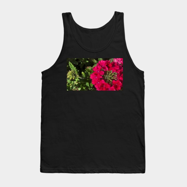 The Delicate Balance of Summer Flowers Tank Top by Photomersion